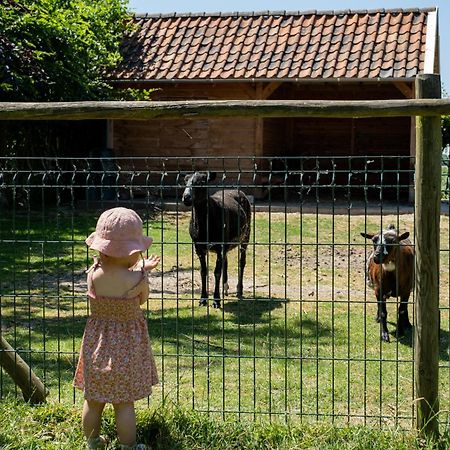 Hoeve De Binnenplaets Schimmert ภายนอก รูปภาพ