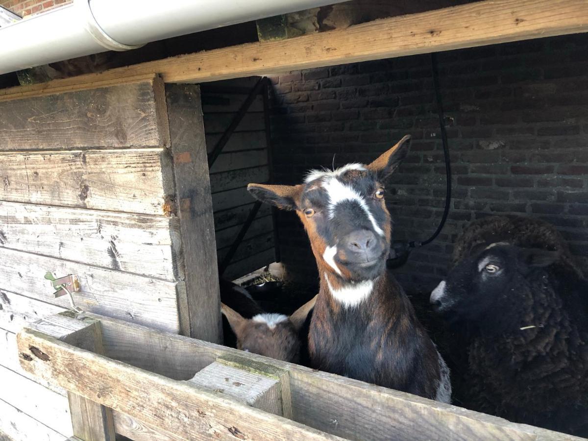 Hoeve De Binnenplaets Schimmert ภายนอก รูปภาพ