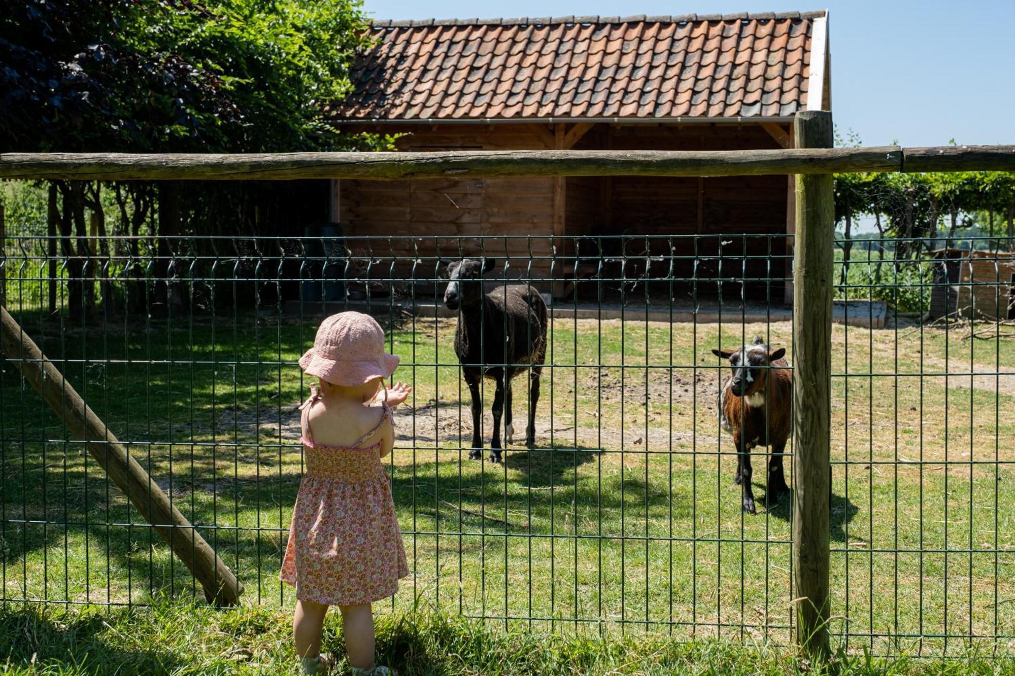 Hoeve De Binnenplaets Schimmert ภายนอก รูปภาพ