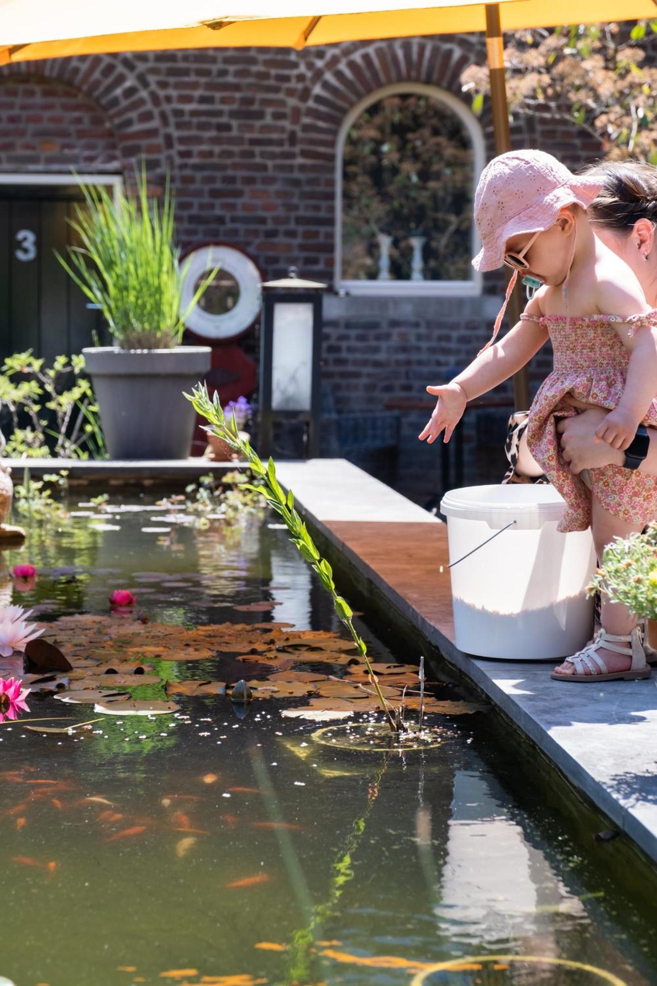 Hoeve De Binnenplaets Schimmert ภายนอก รูปภาพ